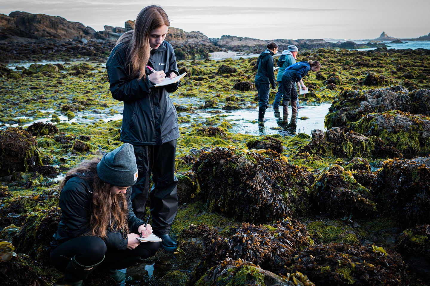 Students at the Oregon Institute of Marine Biology take notes while on the coast