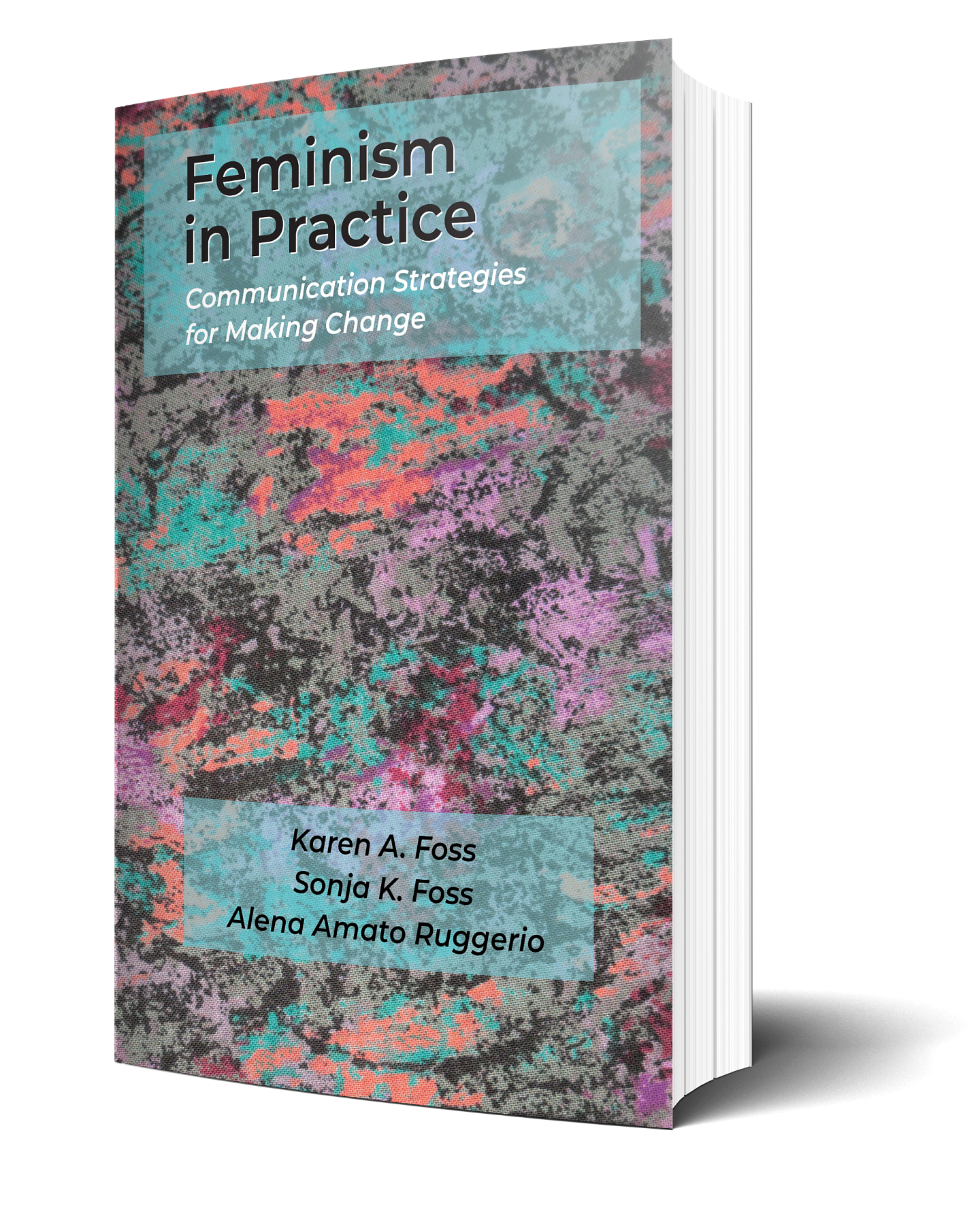 Feminism in Practice: Communication Strategies for Making Change