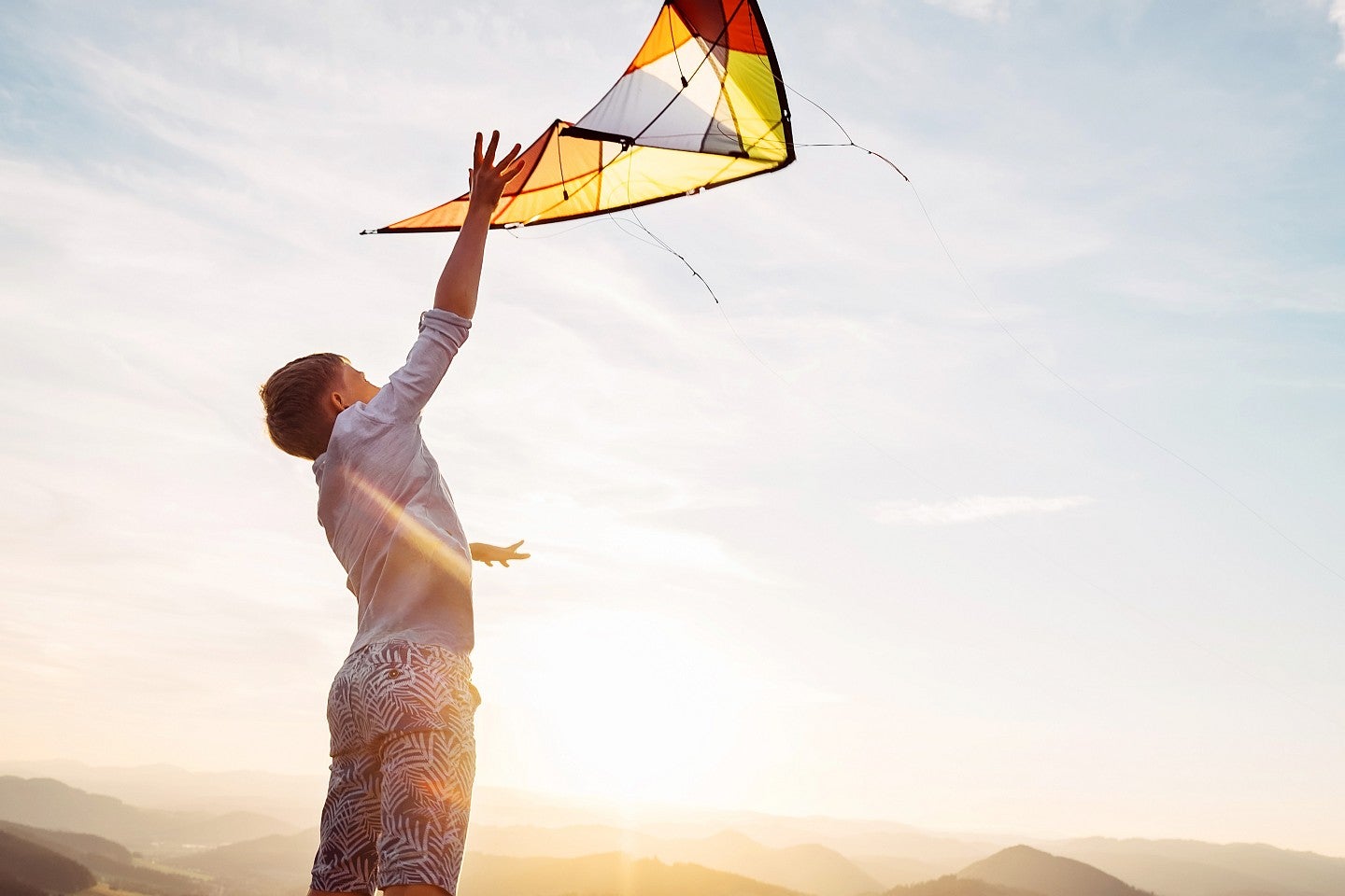 Boy flies kite