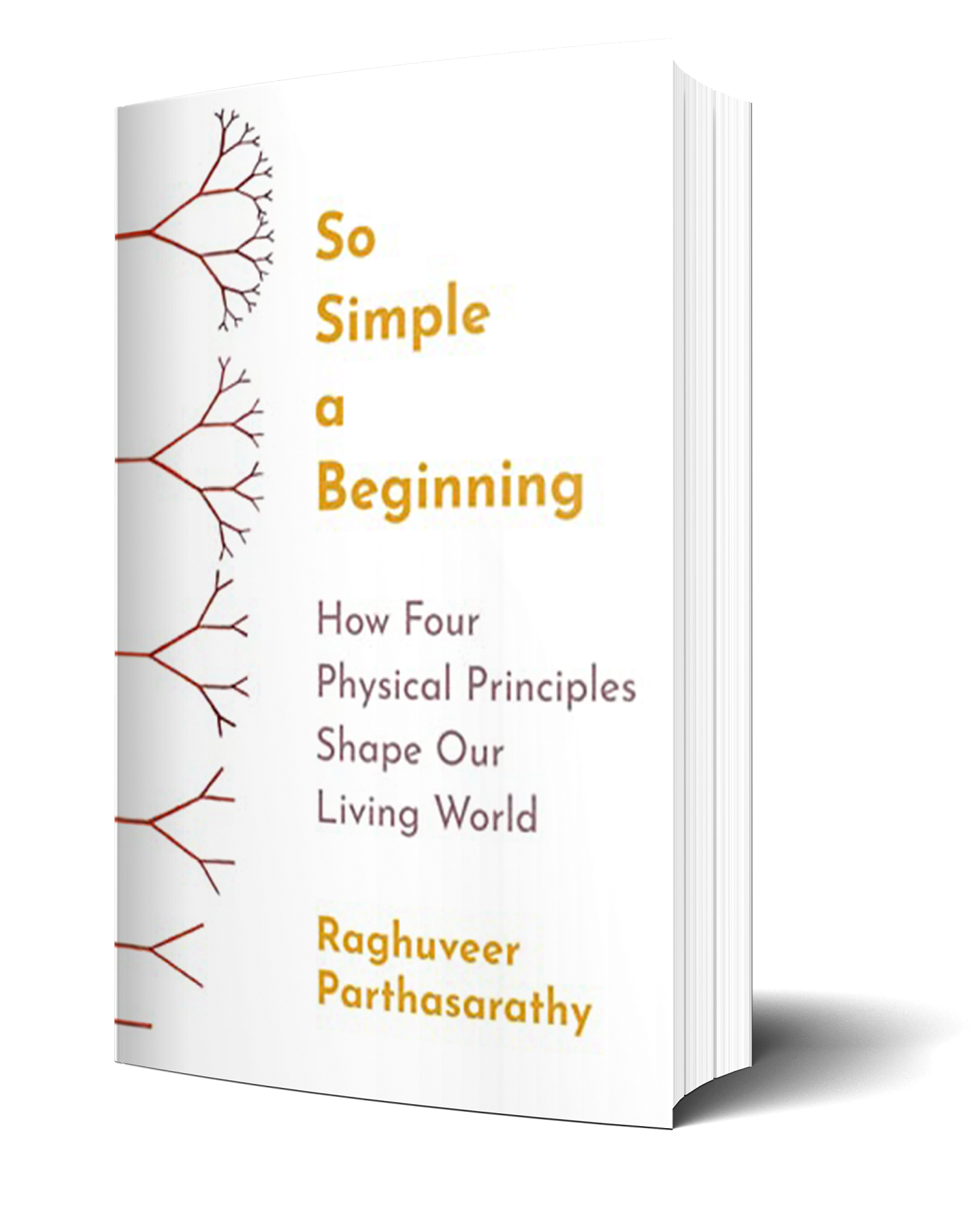 So Simple a Beginning: How Four Physical Principles Shape Our Living World