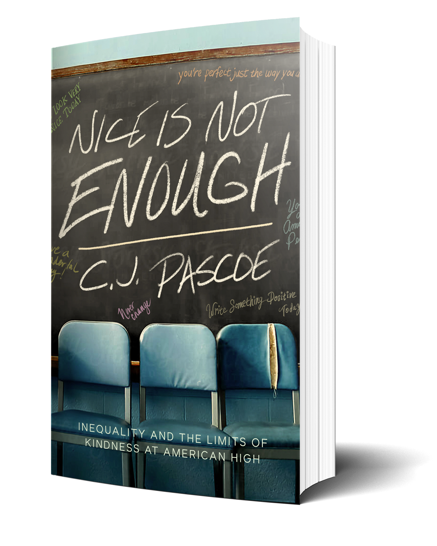 Nice Is Not Enough: Inequality and the Limits of Kindness at American High