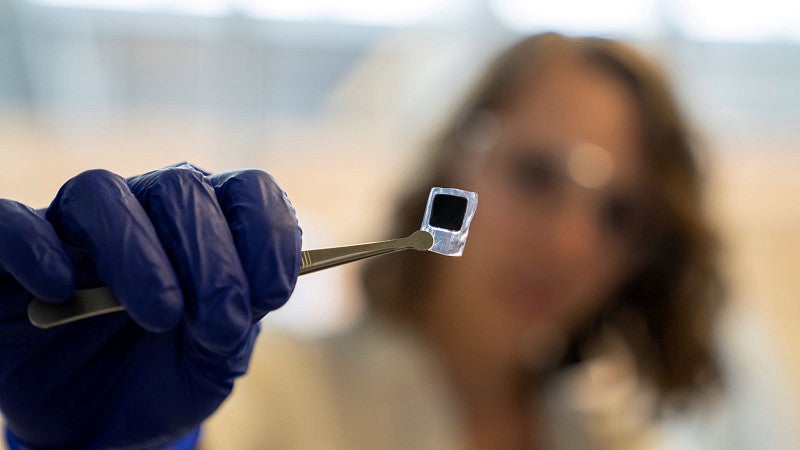 Close-up of student in lab with computer chip