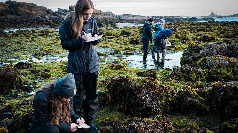 Students at the Oregon Institute of Marine Biology take notes while on the coast
