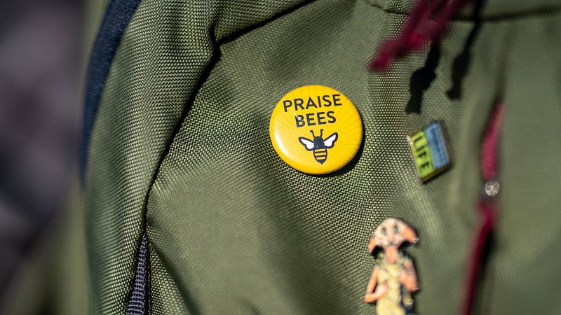 Close-up of button that reads "Praise Bees"