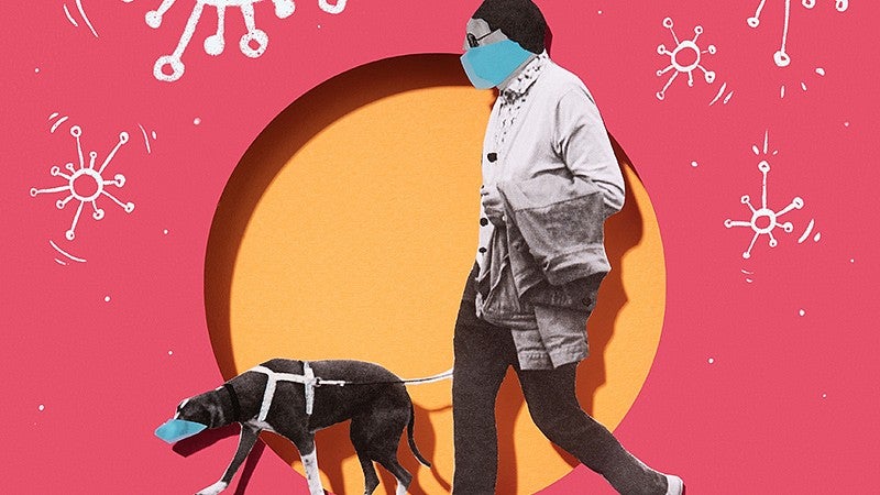 Photo illustration of person wearing medical mask walking dog