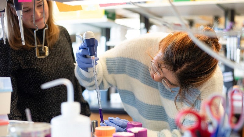 Dante' James works in the lab with a dropper while a graduate student supervises