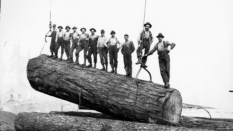 Loggers on log