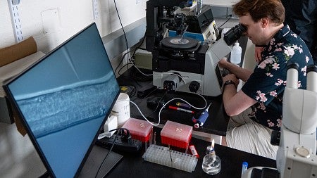 Graduate student Zach Stevenson working with C. elegans worm