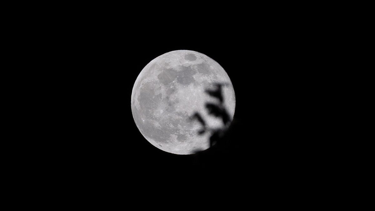 Full moon. I like taking photos of the night sky sometimes, though I am not a huge fan of astrophotography. Taking photos of a plain moon might seem boring, and I tried to find some objects to fill in my frame. I took this photo under a tree, and I thought it was cool to shoot the full moon through the tip of that tree.