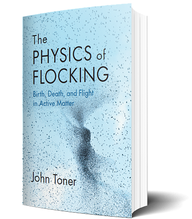 The Physics of Flocking: Birth, Death, and Flight in Active Matter