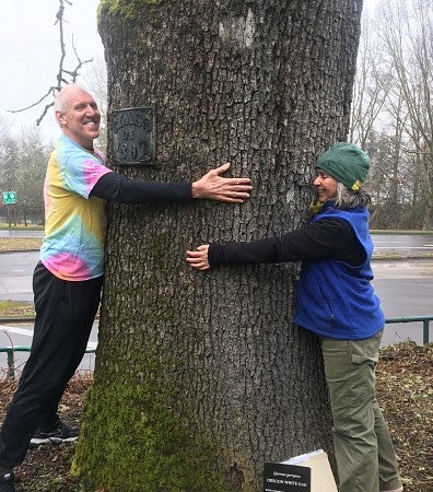 Jane Brubaker, UO landscape designer and Bill Walton, NBA hall-of-famer hugging the trunk of the Condon Oak from opposite sides.