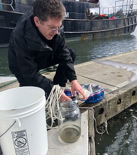 George von Dassow collects samples at ocean docks