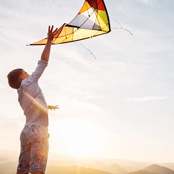 Boy flies kite