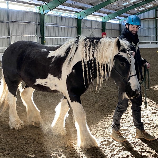 A student in a helmet walks a horse around a ring