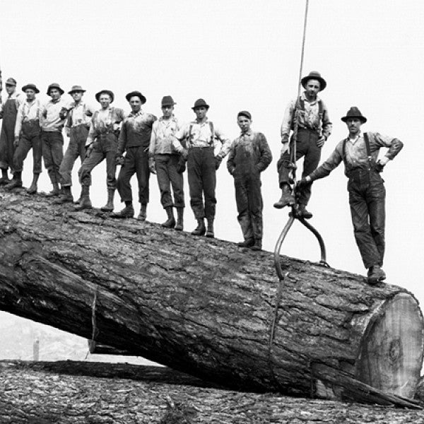 Loggers on log
